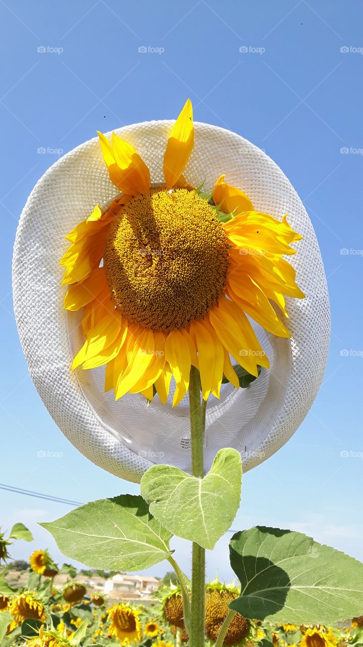 Repairing from the sun!