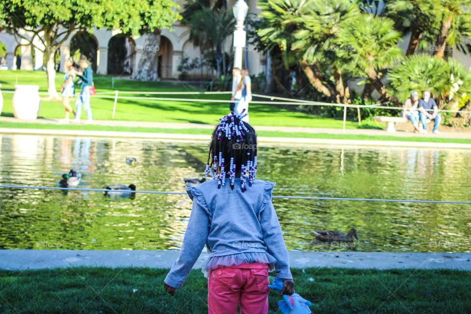 Little girl peering out into a pound with ducks