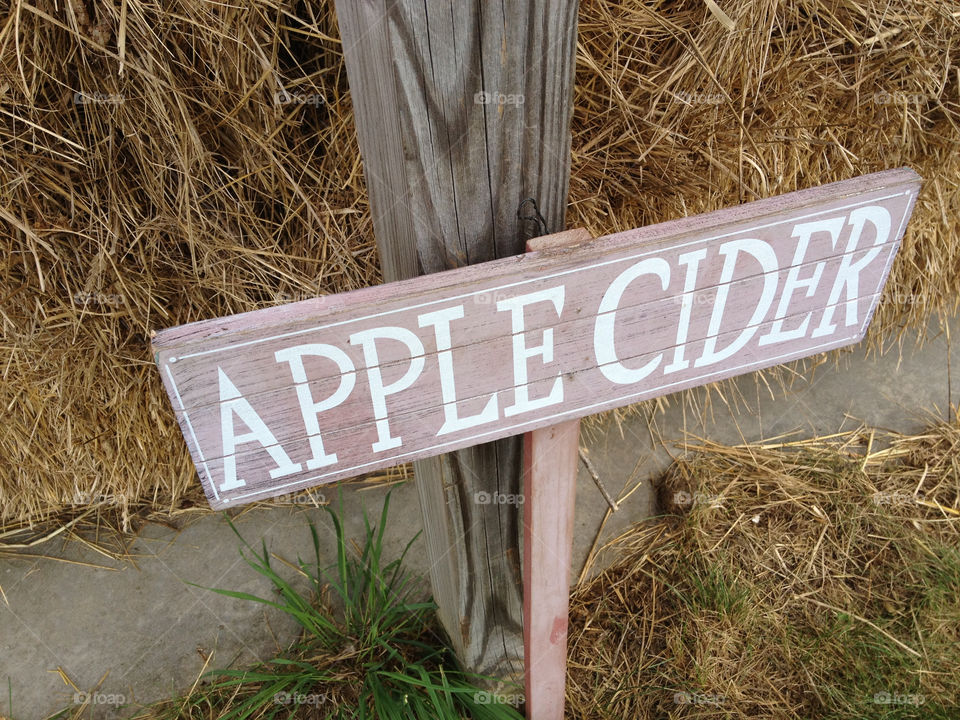 italy autumn apple farm by 150