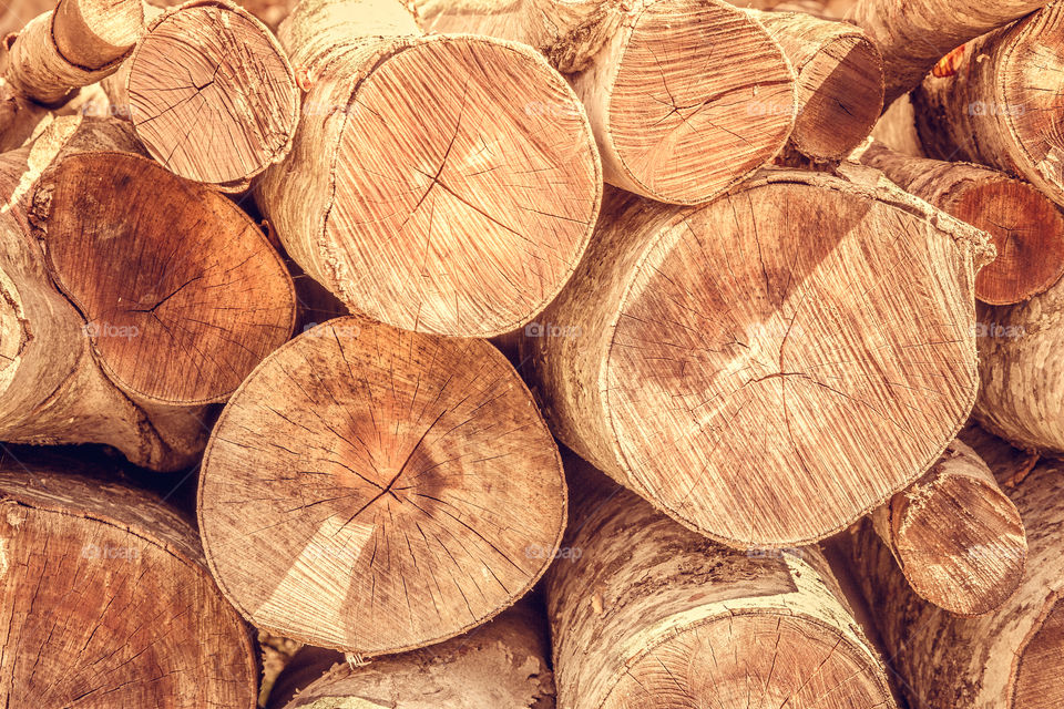 Pile Of Logs Firewoods
