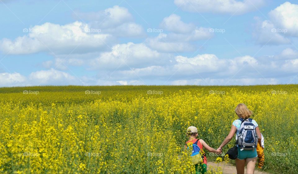 family walking in yellow rapeseed field spring and summer time