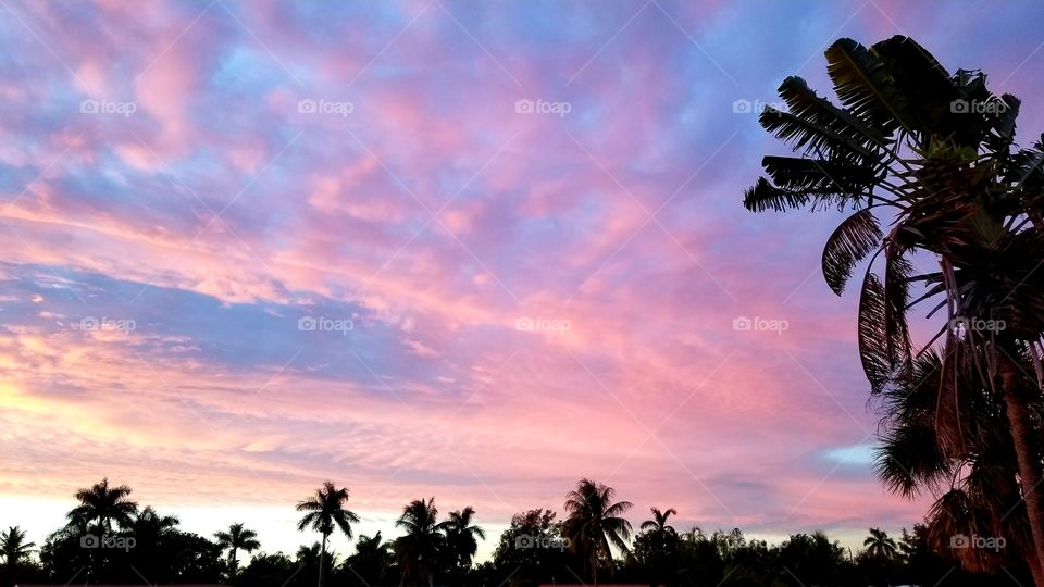 pretty pink sunrise
