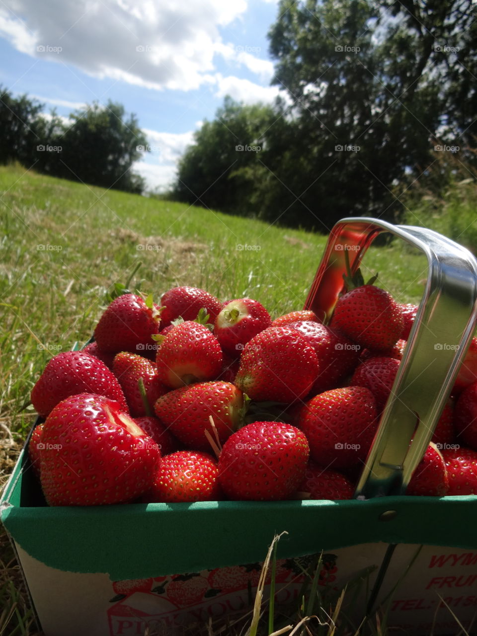 strawberries