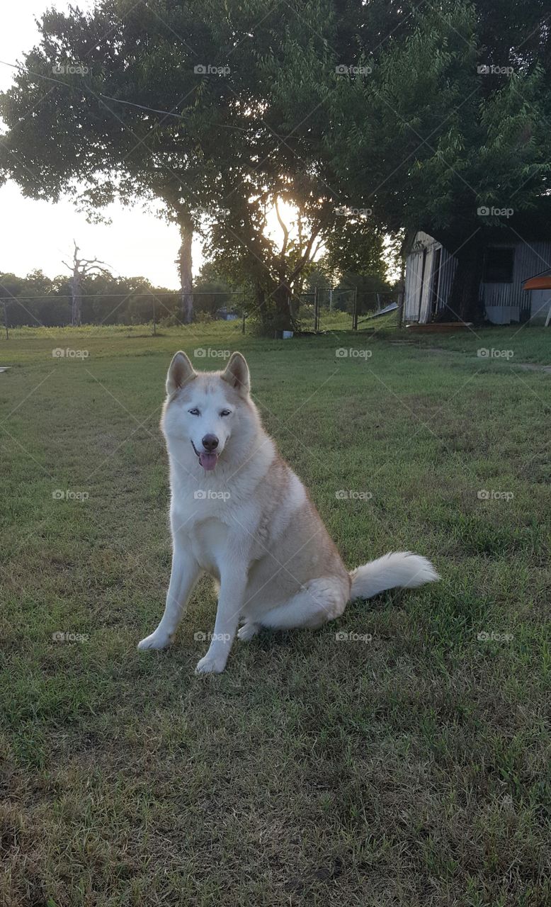 Look at  me and know, yes I am queen!