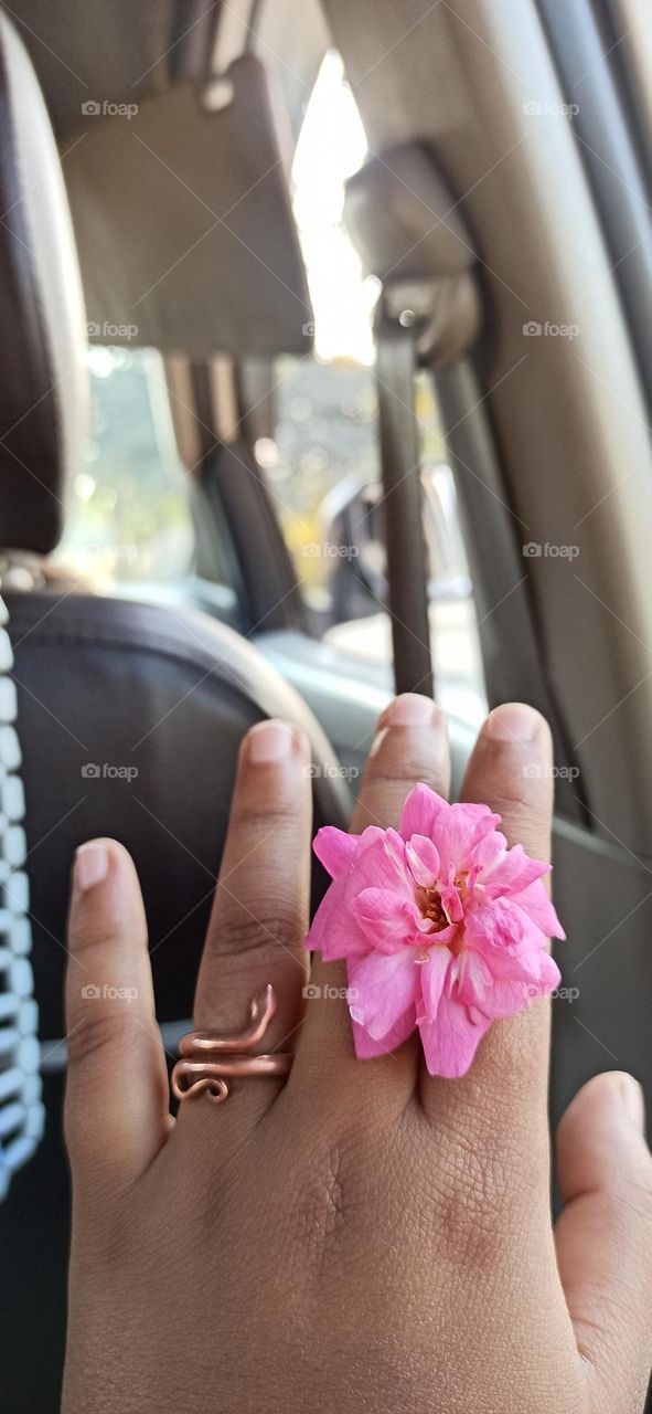 The ring and the rose