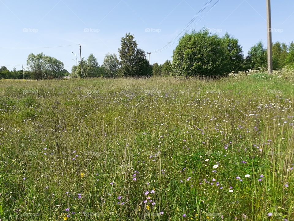 простор полей