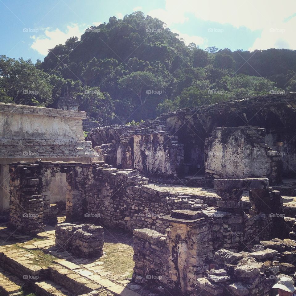 Magical prehispanic arqueological site by the Mayans “Palenque” beautiful stone ruins amidst the wild jungle of Chiapas, Mexico