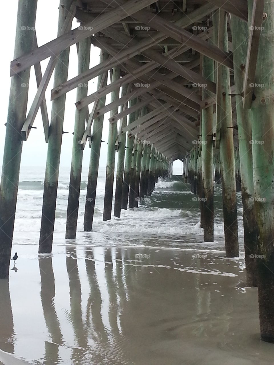 view from under the pier