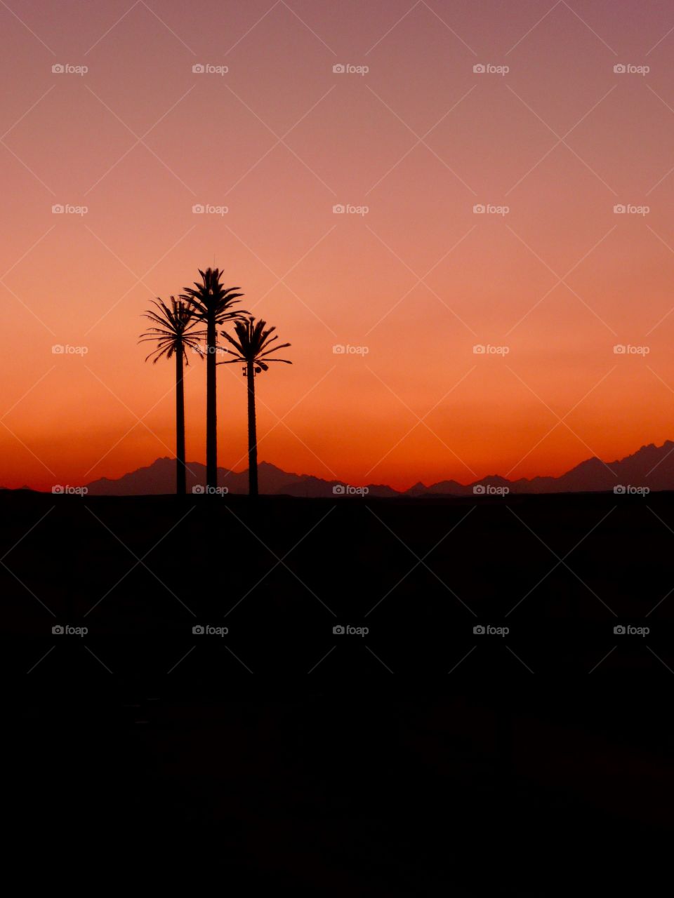 Sunrise in Egypt