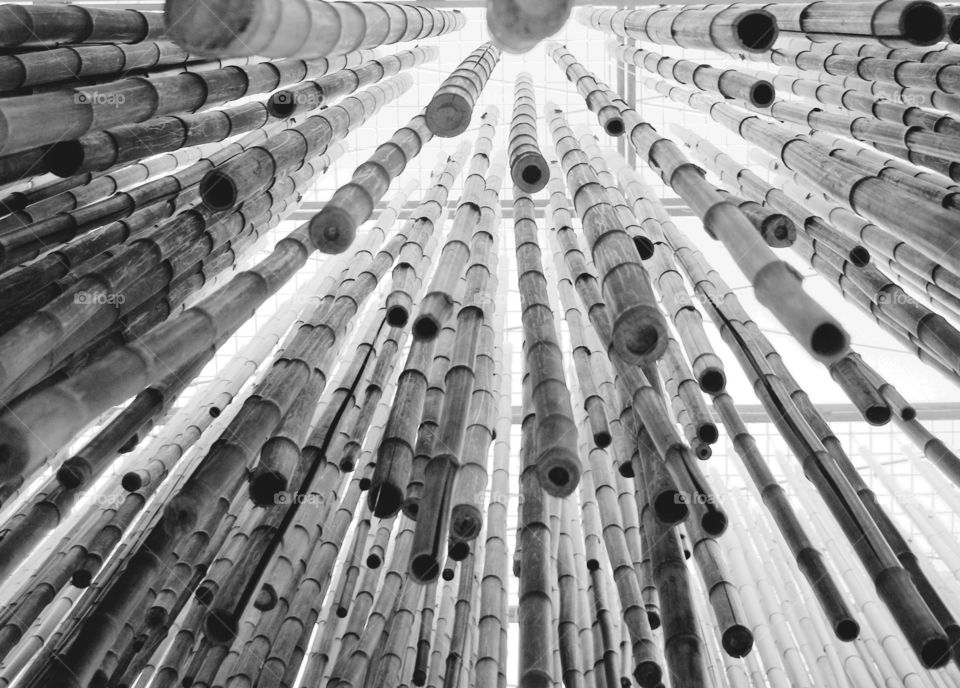 Detail of a bamboo installation that seems to fall from the sky