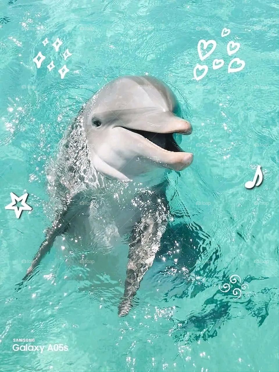 A very beautiful picture, and there is no better picture than it. There is no better picture of green herbs and colorful, red and white roses than it. Glory be to God, the natural and picturesque view, and there is no more wonderful picture than it.