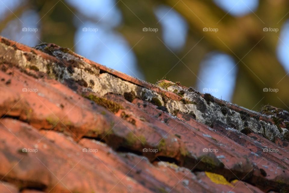 old red roof
