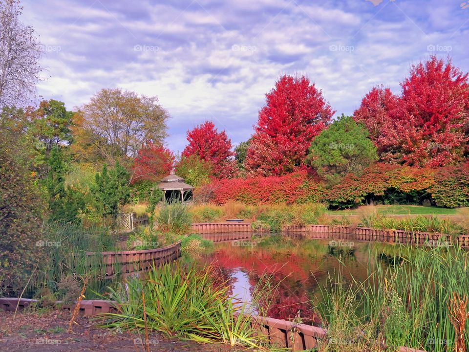 Autumn lake