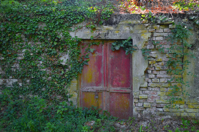 door
