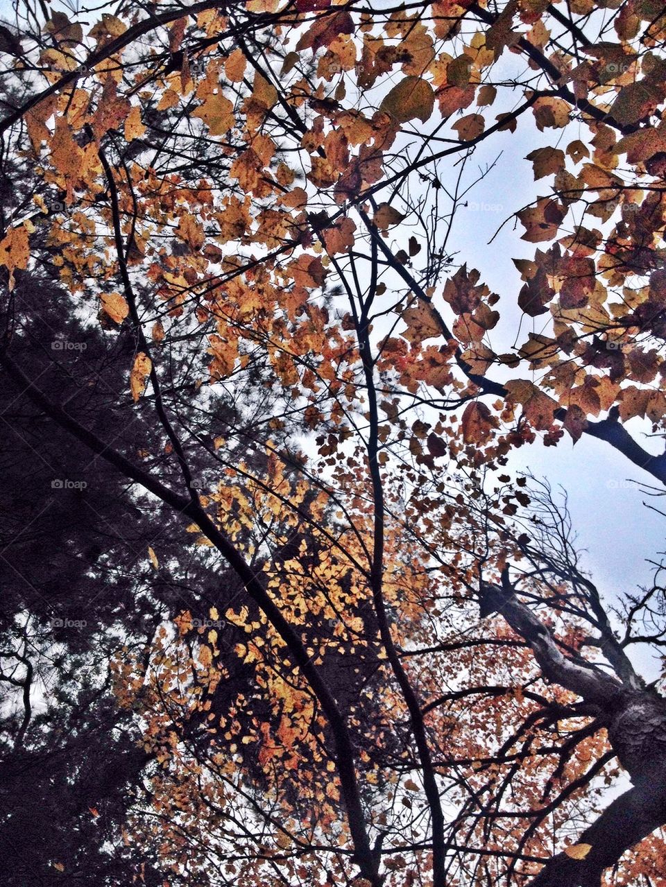 sky yellow nature outdoors by jmh