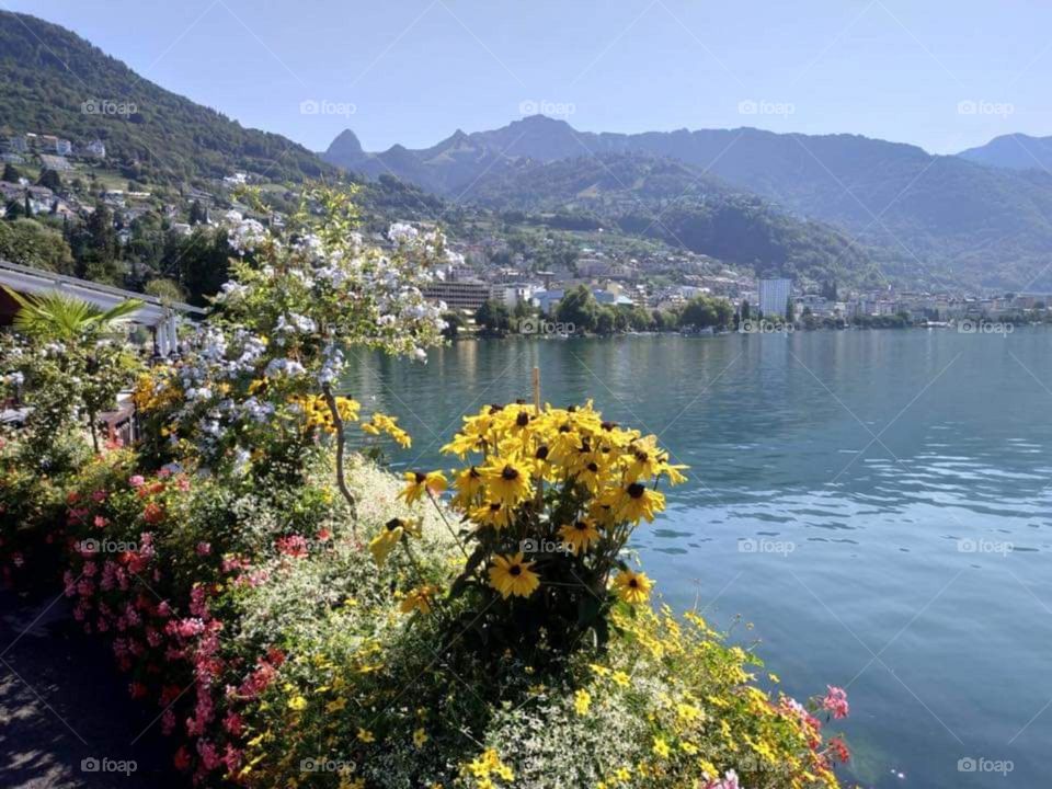 Hương gió biển.