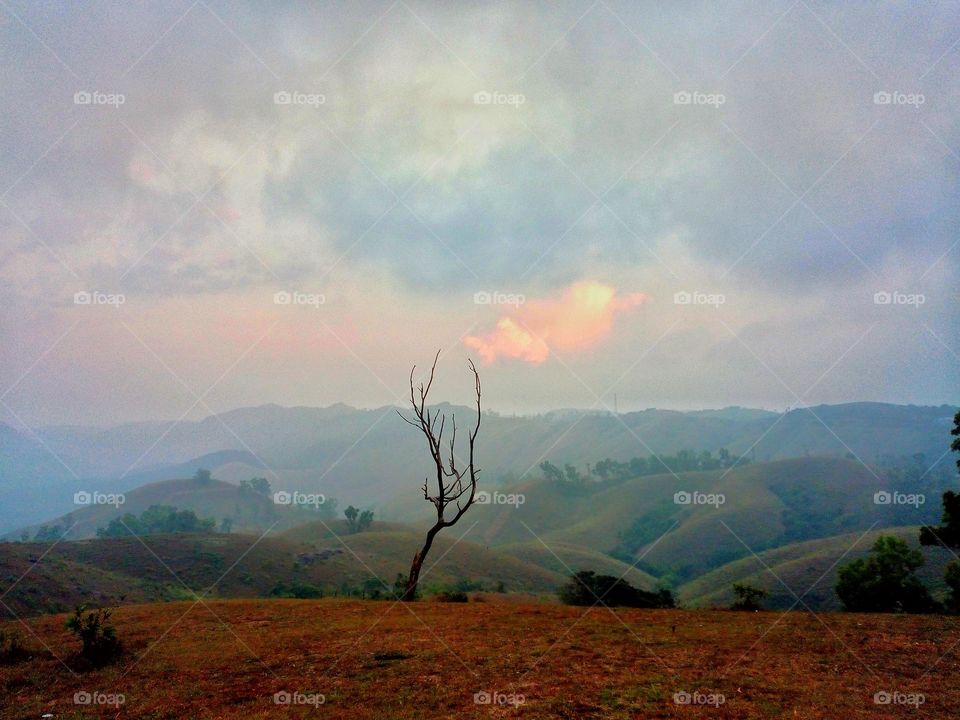 mountains are the beginning and the end of all natural seenery.