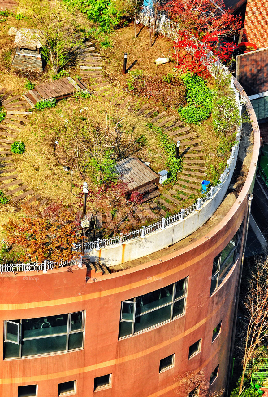 School garden in korea seoul