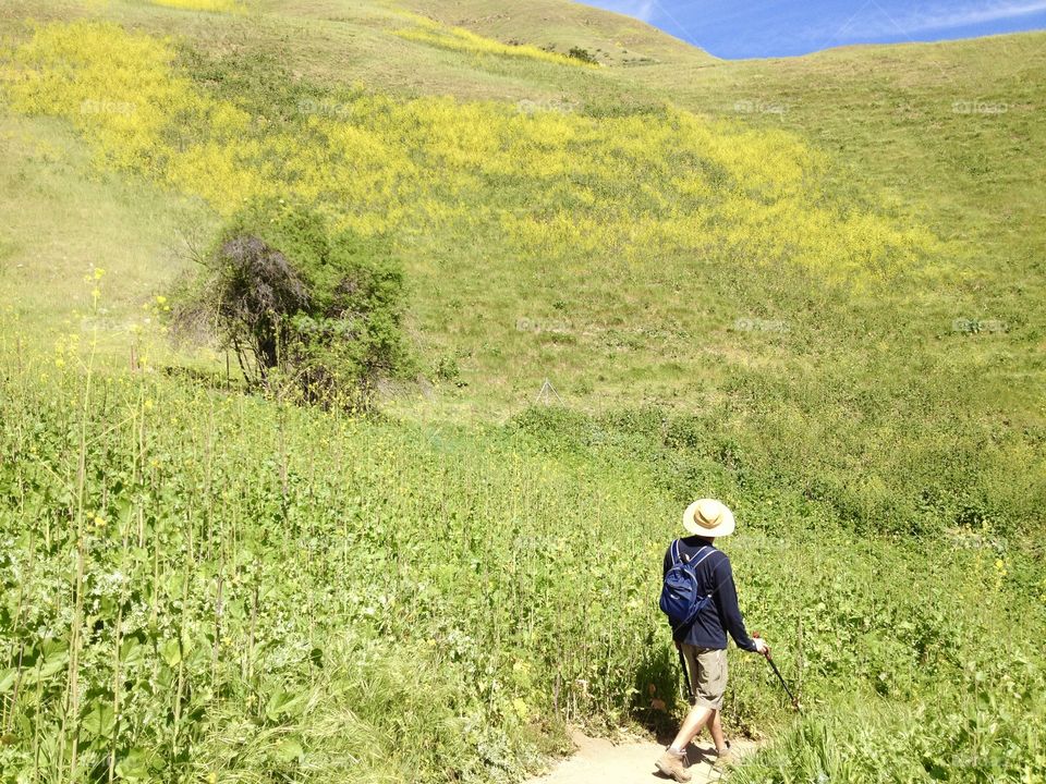 Hiking in spring
