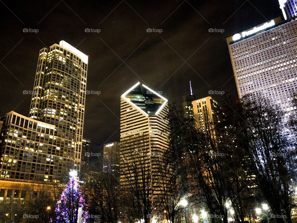 Skyline from Millennium Park