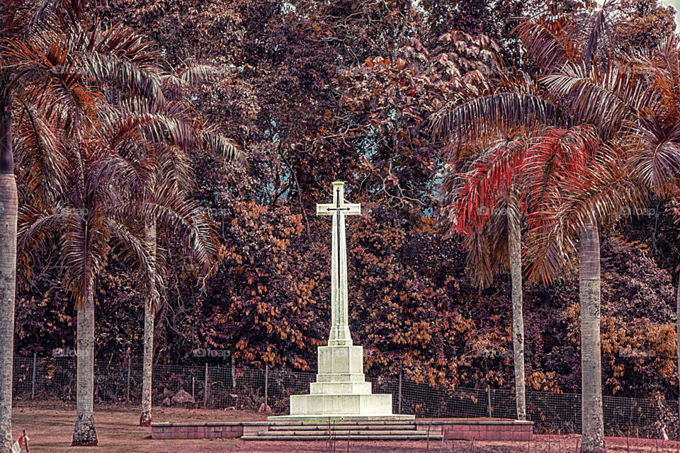 Cross of cemetery