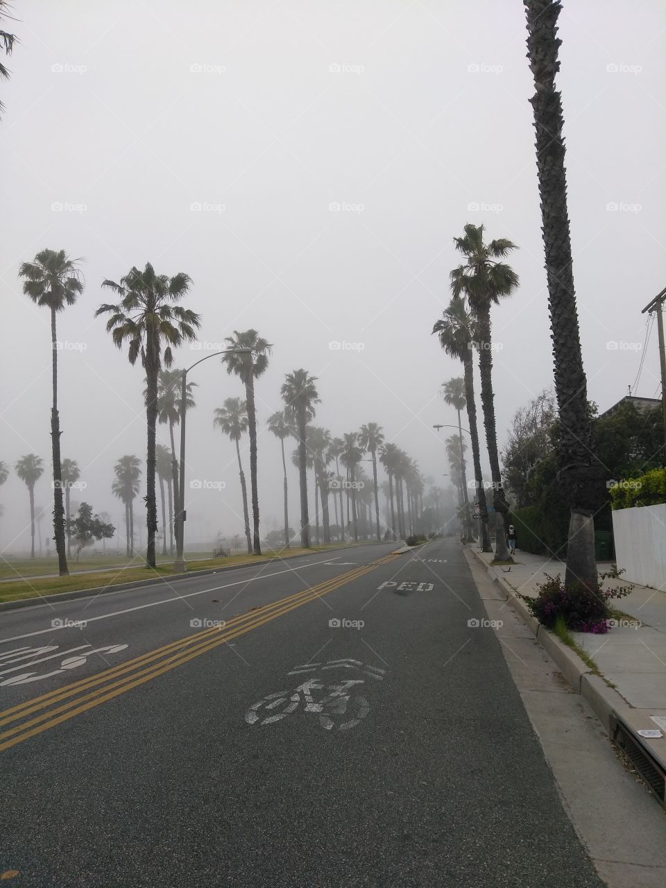 Foggy street