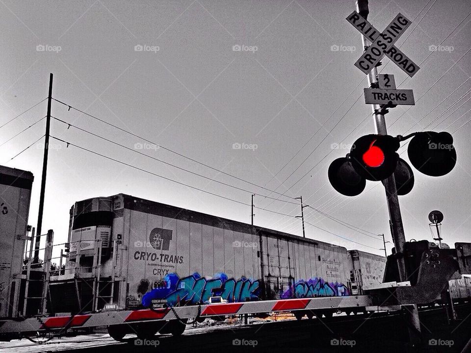 Stopped by the Train