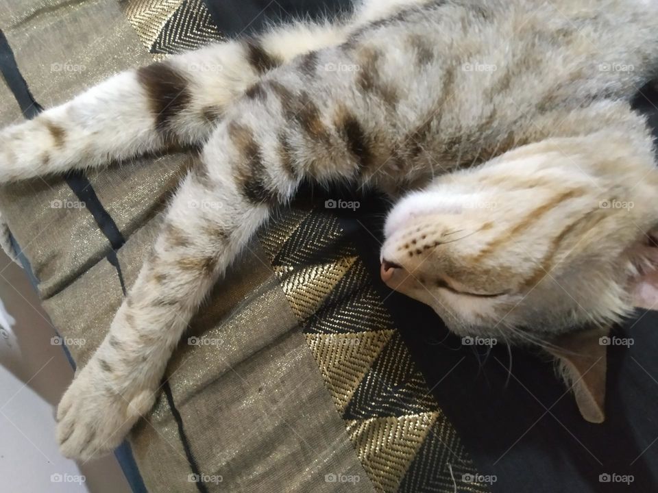 sleeping like me 😀
cute baby is sleeping..