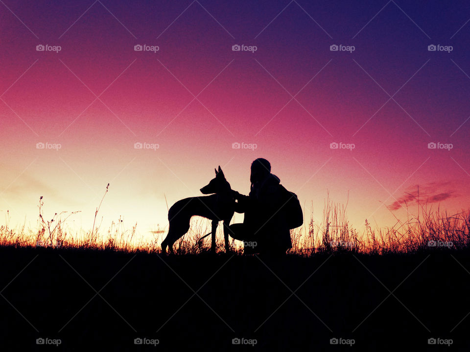 Friends sunset malinois dog