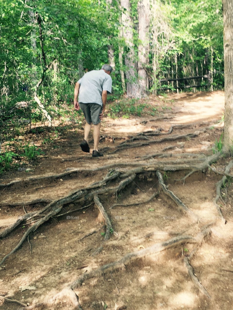 Older man walking on a hiking trail  lined with tree roots,at Line Creek in   Countryside of Georgia. 