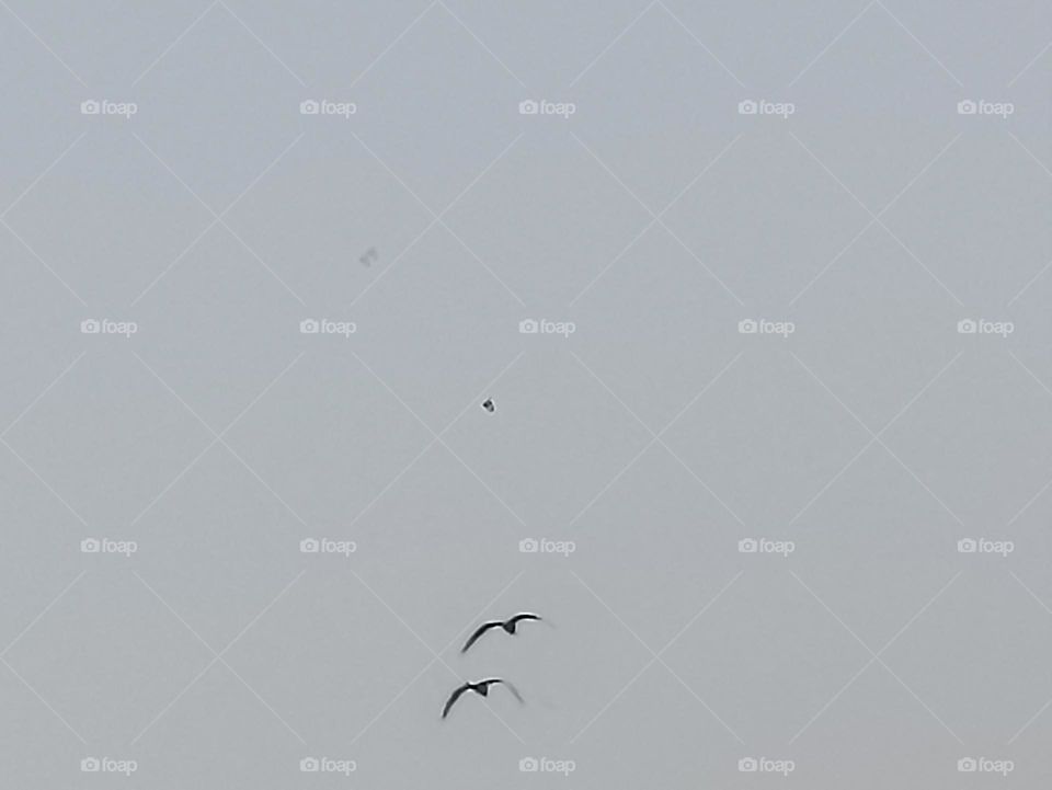 lovers in the sky 😜😜😜