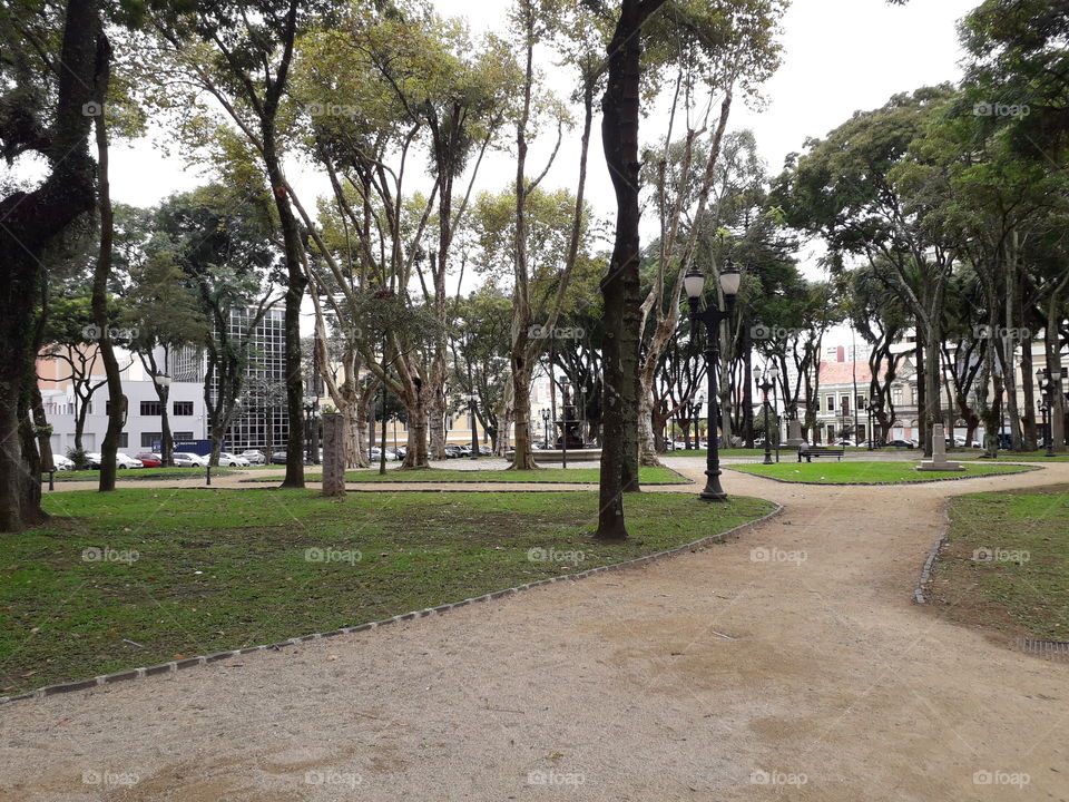 Curitiba's Landscapes in autumn.