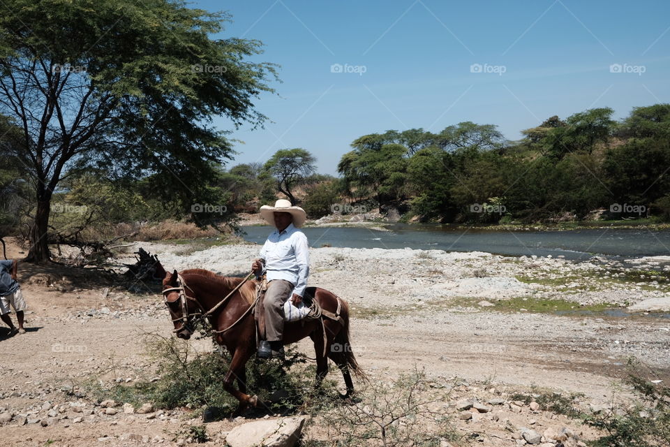 Person riding a red horse