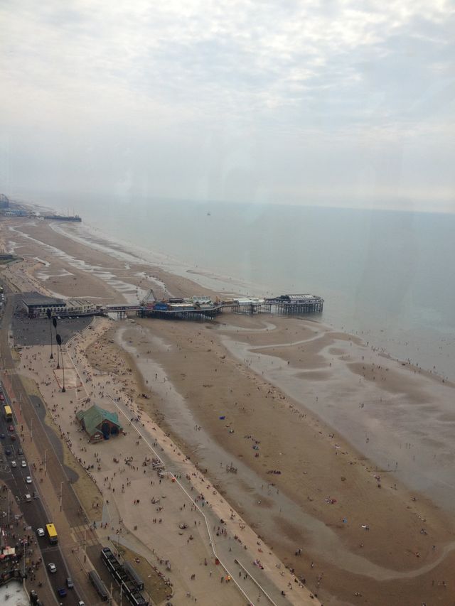 Beach bird view