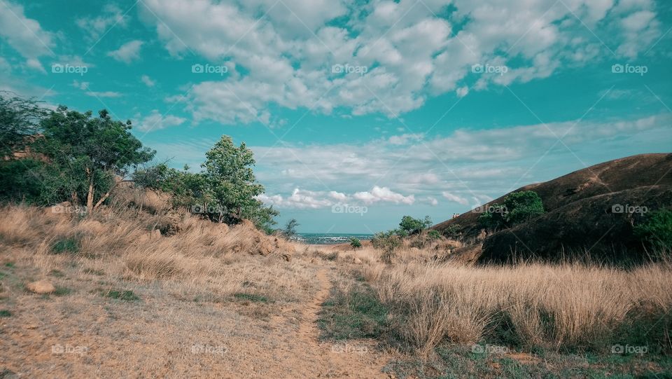 Scenic - Mountain - Sky