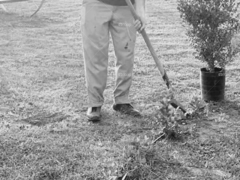 preparar la tierra para plantar