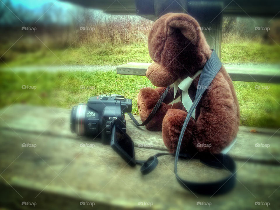 Teddy. Teddybear with Camera