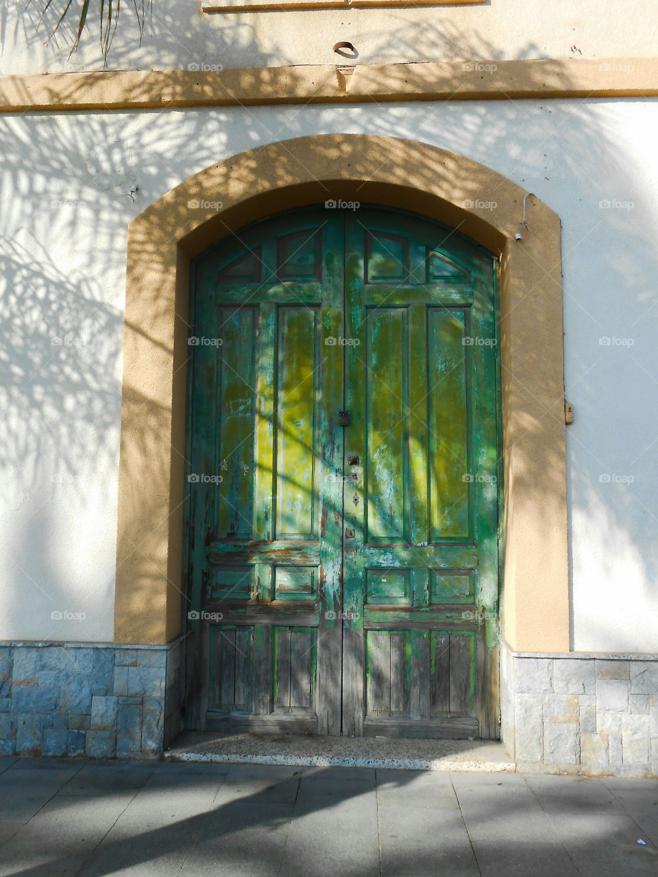 A green door with many layers of paint,  some shadows of palm fronds