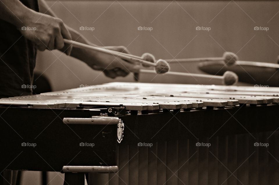 Vibraphone player. Vibraphone player