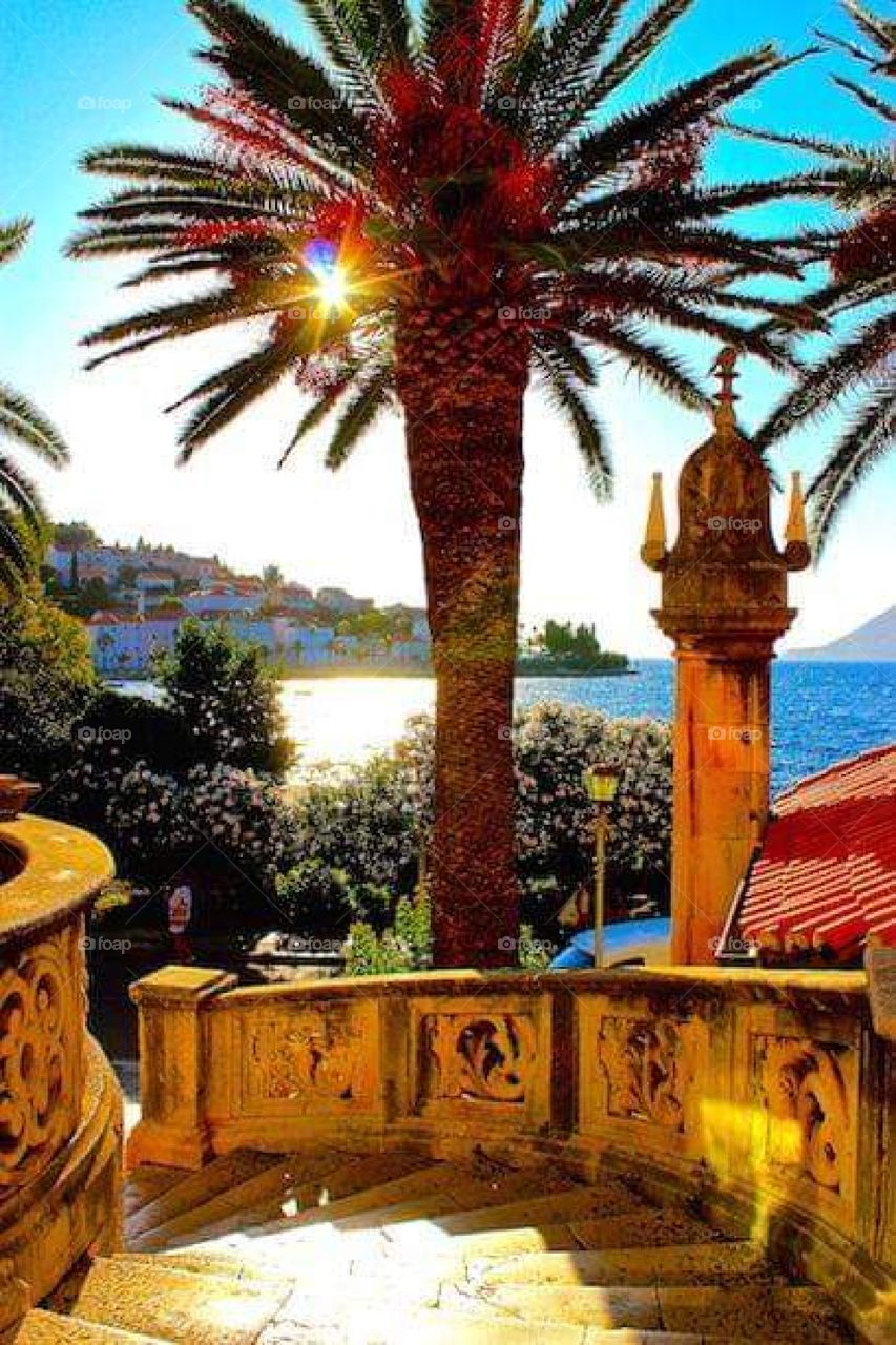 Island Korčula Smokvica