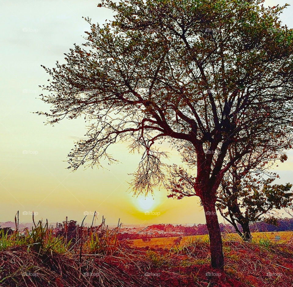 🌄🇺🇸 An extremely beautiful dawn in Jundiaí, interior of Brazil. Cheer the nature! / 🇧🇷 Um amanhecer extremamente bonito em Jundiaí, interior do Brasil. Viva a natureza! 