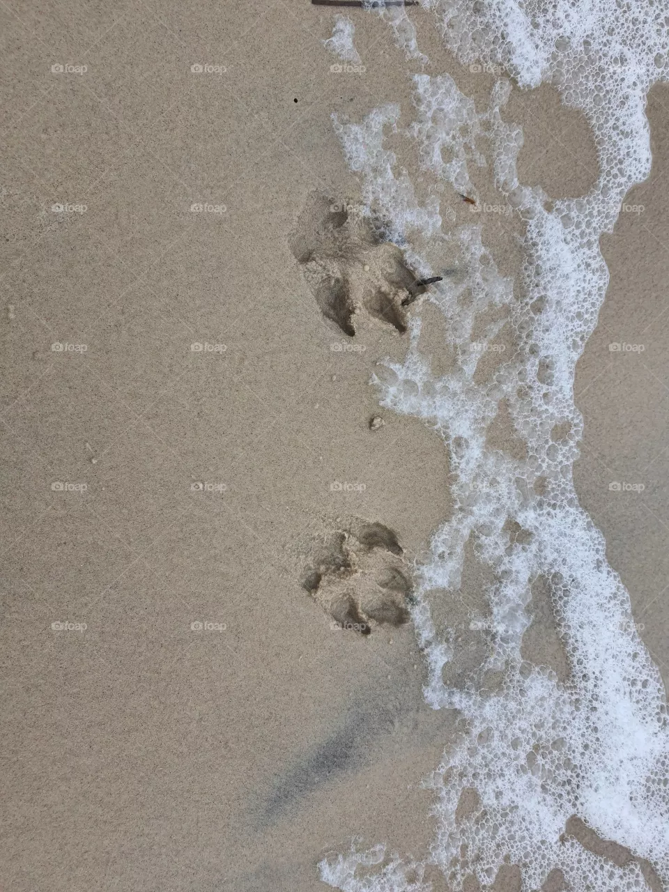 Spuren am Strand