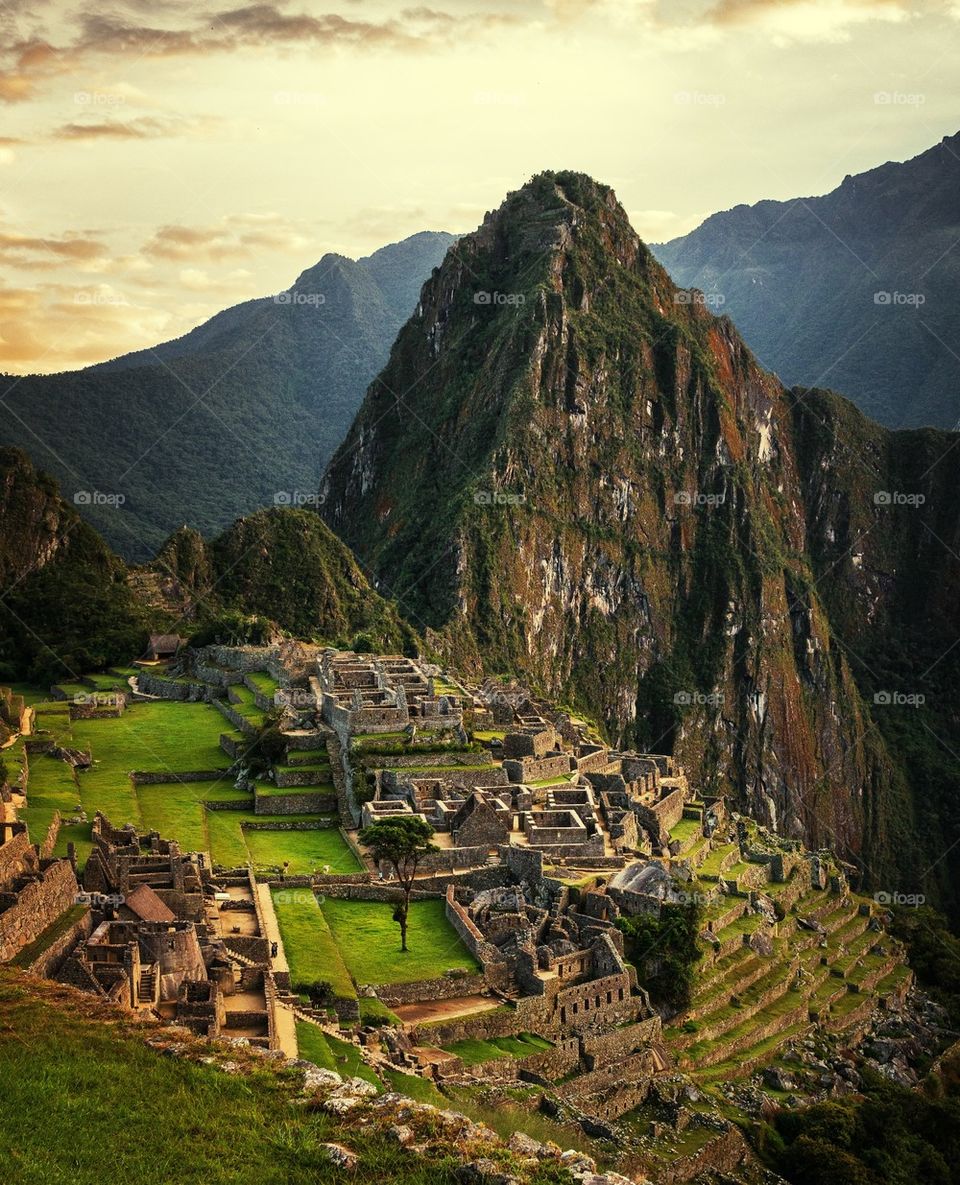 Machu Picchu