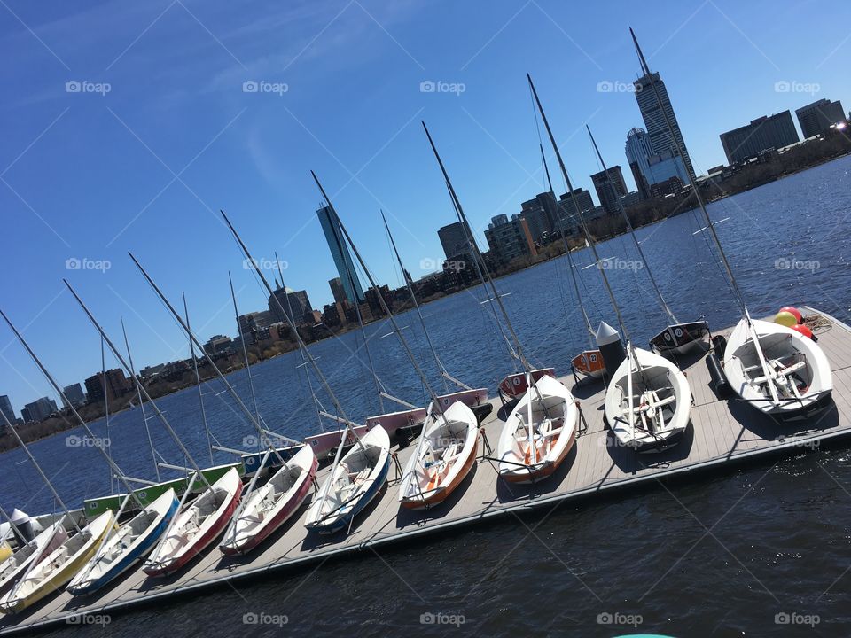 Finally....Spring is here! Charles River
