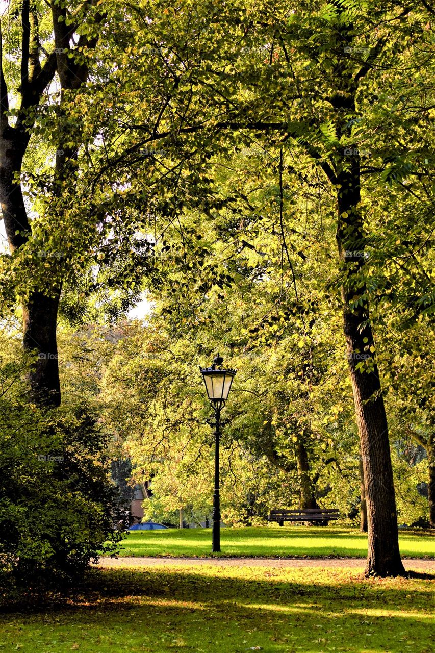 historical lantern in a sunny park with high trees and grass