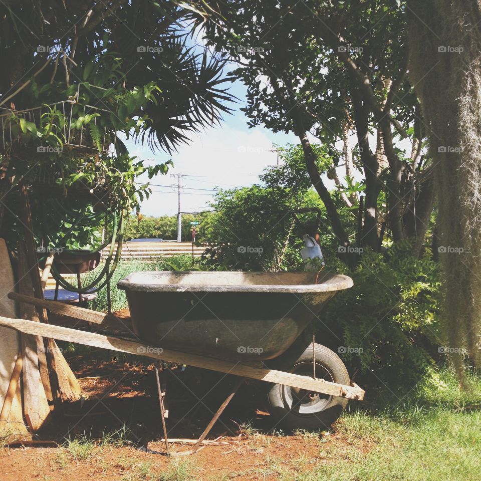 Gardening Wheelbarrow 