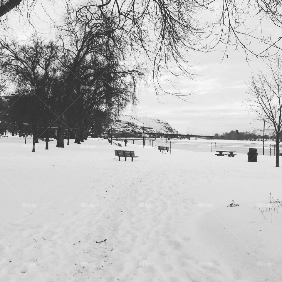 Winter walk at riverside park! 