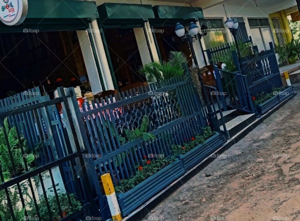 wanna tag along to our mini mart for grocery shopping pal? #photooftheweek #randomness