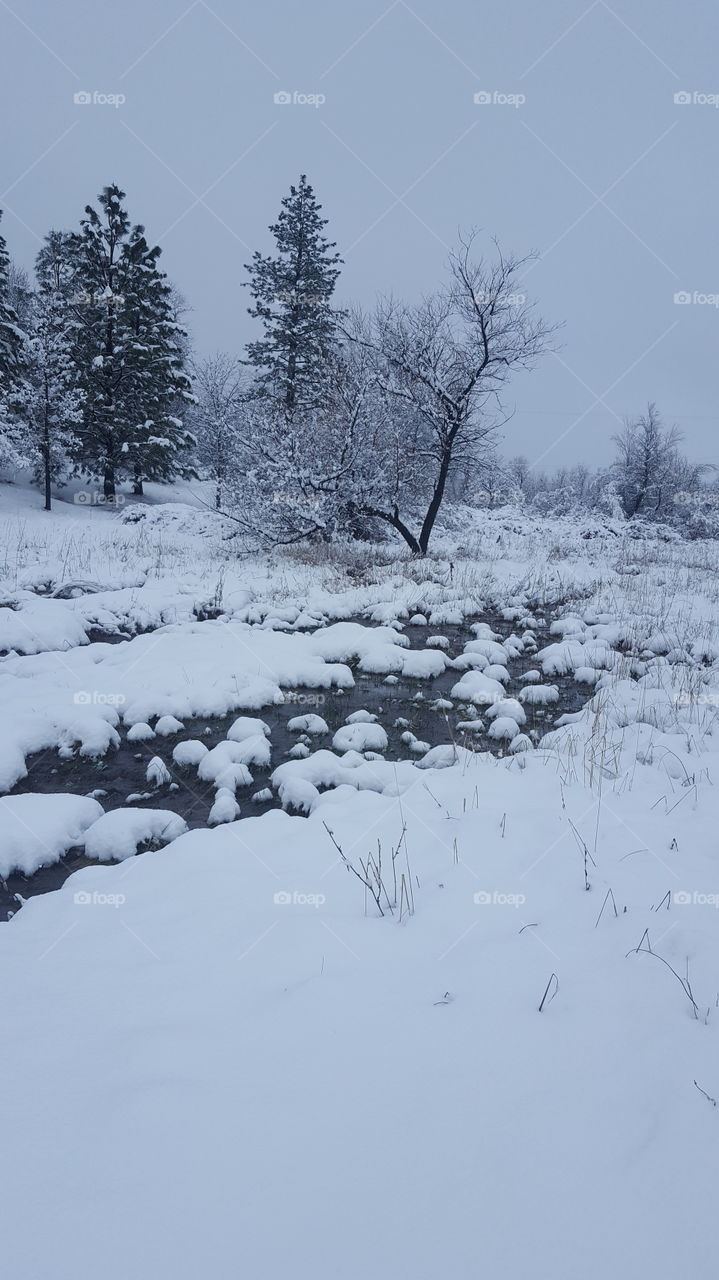 snowy creek