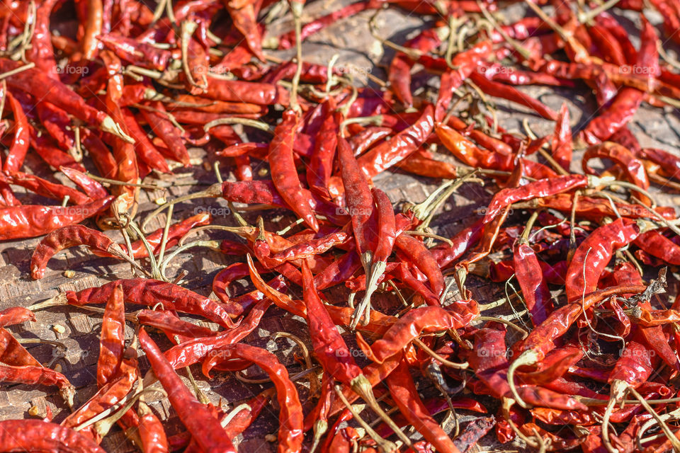 Red hot chillies getting dried in the sunlight, a natural process of preserving food....